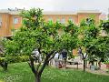 LIGURIAMTB13 (33)